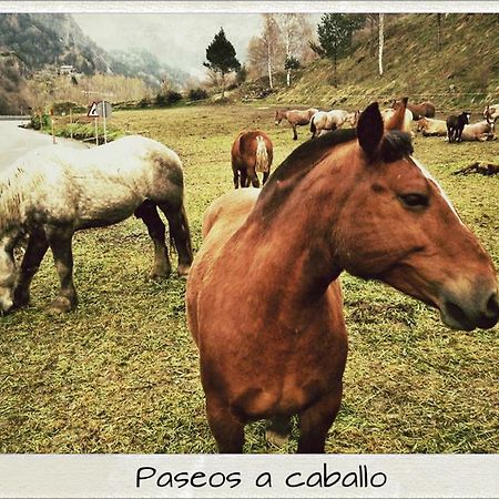 Hotel Sant Miquel Andorra la Vella Dış mekan fotoğraf