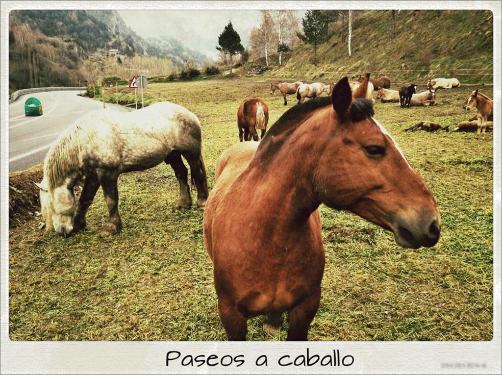 Hotel Sant Miquel Andorra la Vella Dış mekan fotoğraf